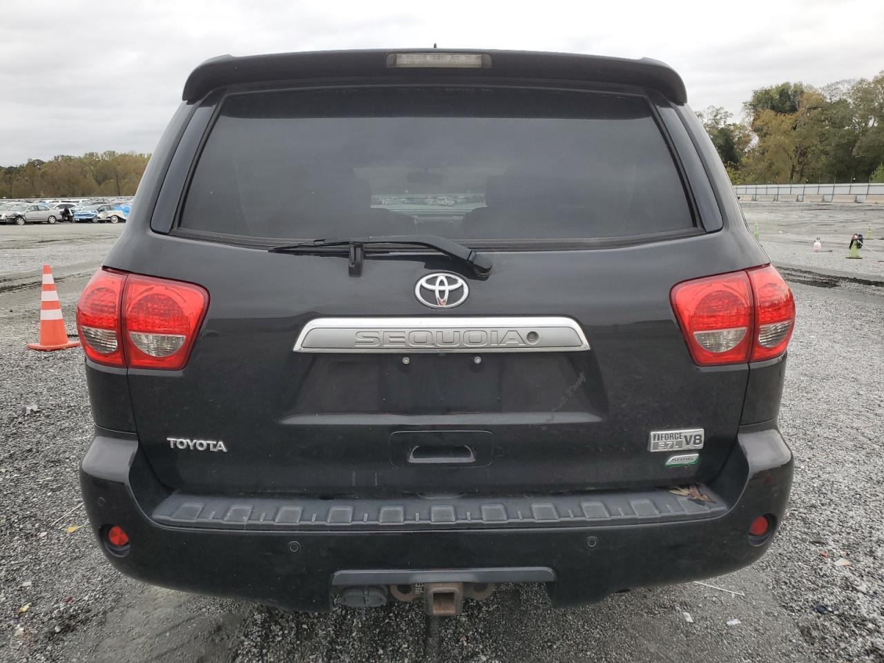 2010 Toyota Sequoia Platinum VIN: 5TDDW5G13AS025906 Lot: 89739485