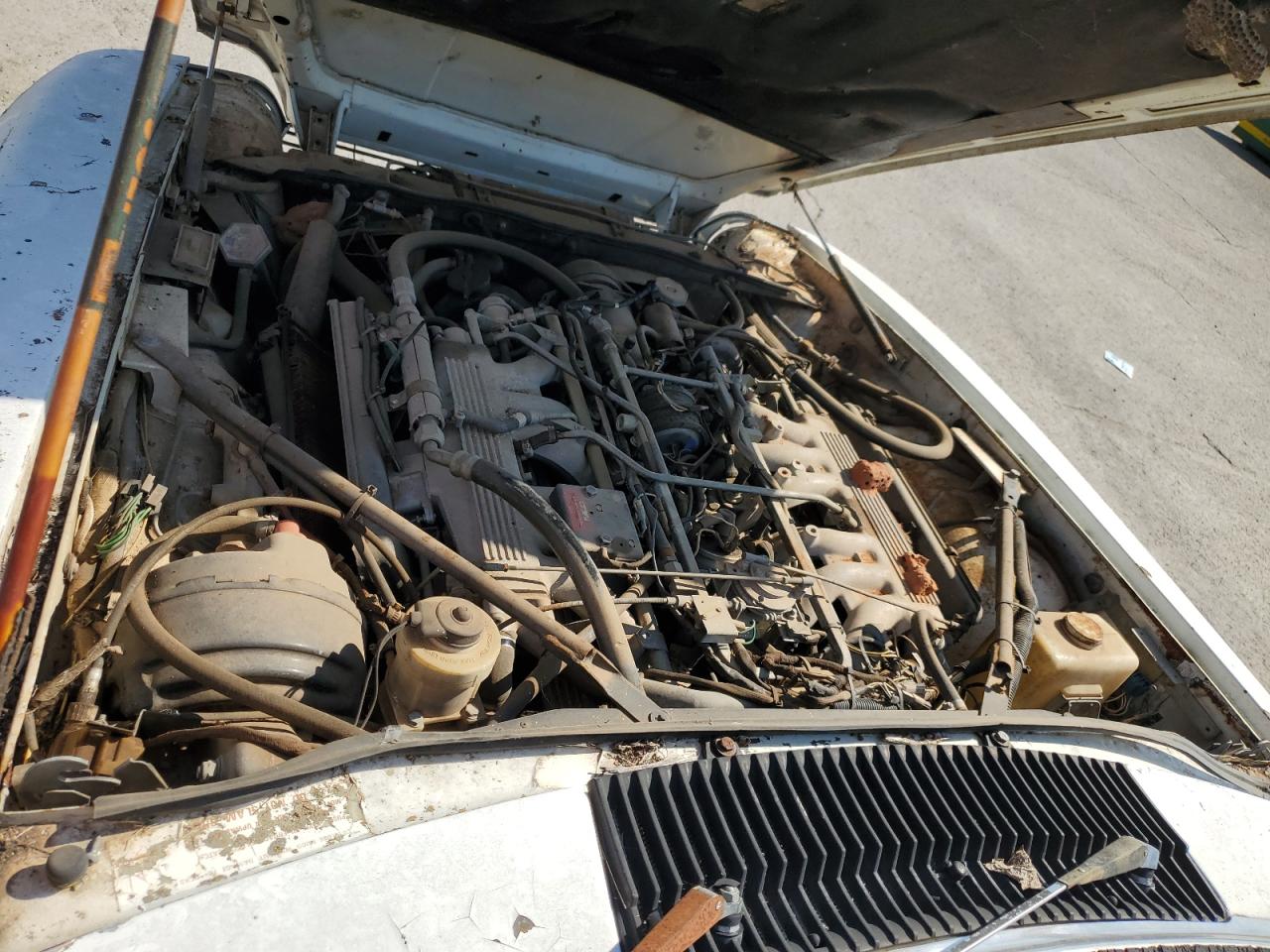 1982 Jaguar Xjs VIN: SAJNV5849CC105507 Lot: 94230415