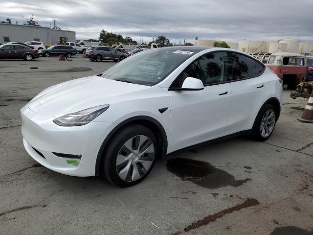  TESLA MODEL Y 2023 White