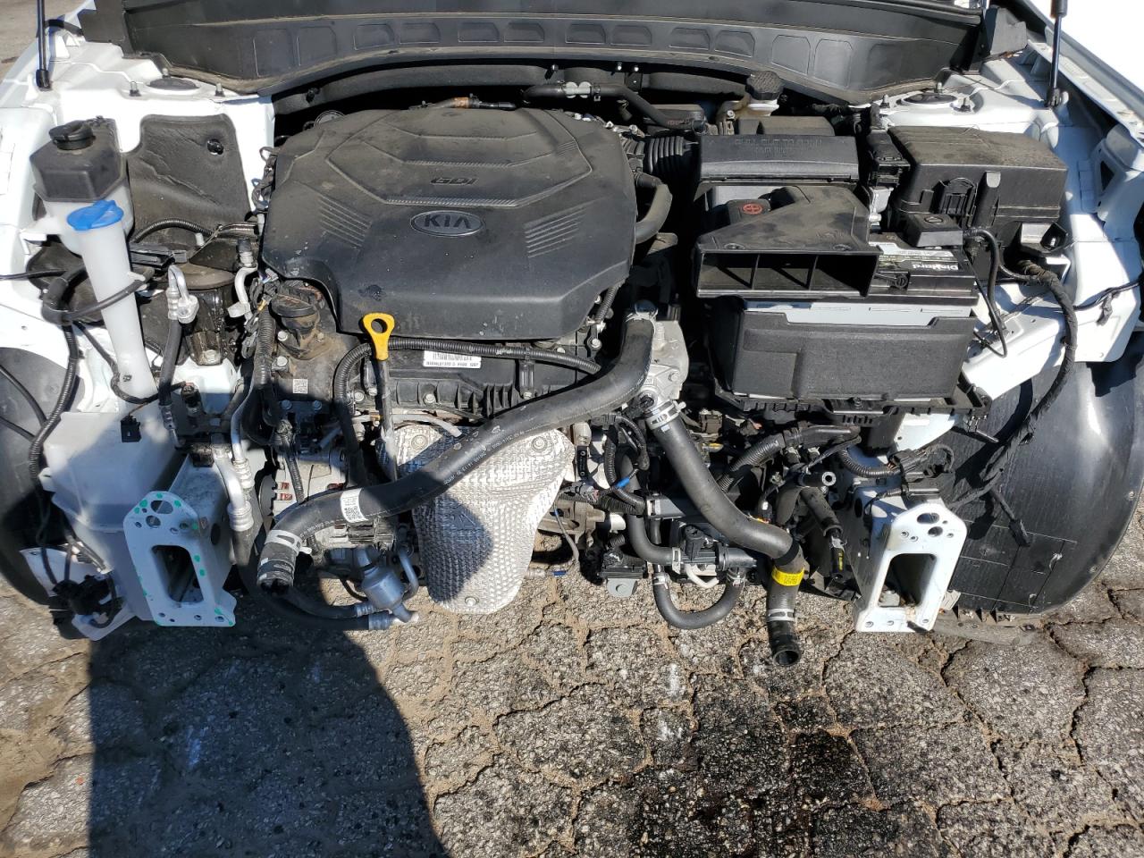 2021 Kia Telluride Ex VIN: 5XYP3DHCXMG100022 Lot: 84913965