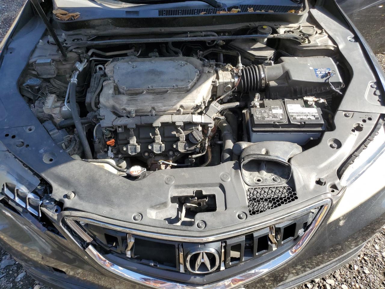 2015 Acura Tlx Tech VIN: 19UUB3F58FA003488 Lot: 89459645