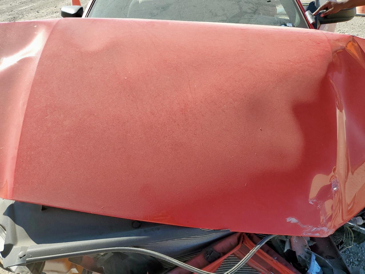 2014 Ford Mustang VIN: 1ZVBP8AM8E5308576 Lot: 80533715