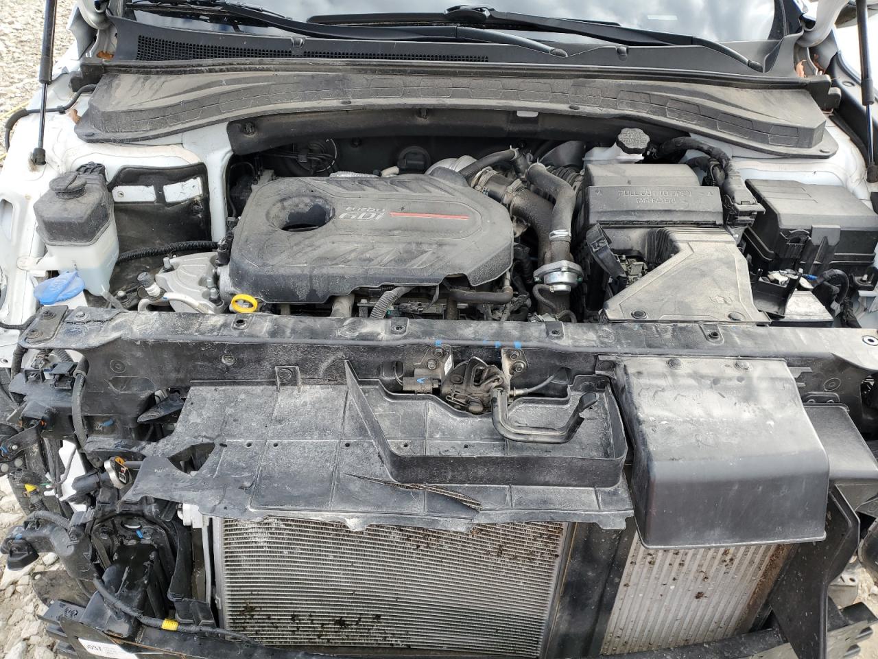 2020 Hyundai Santa Fe Limited VIN: 5NMS5CAA3LH249450 Lot: 85543985