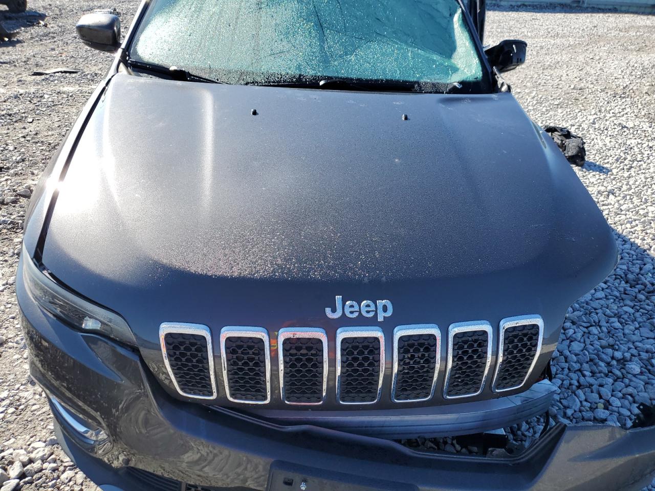2019 Jeep Cherokee Limited VIN: 1C4PJMDN9KD402331 Lot: 90316885