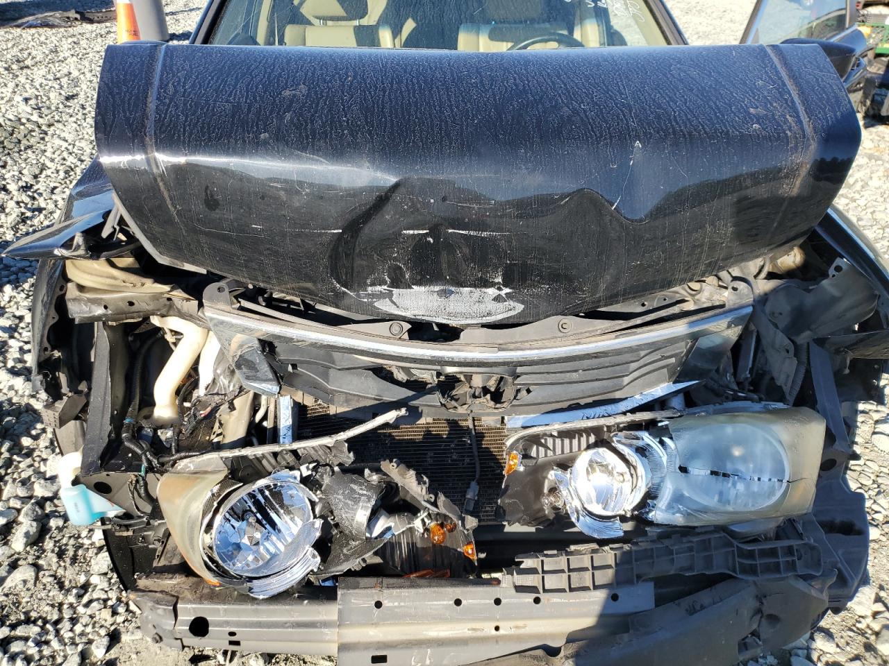 2010 Honda Accord Exl VIN: 1HGCP2F82AA145426 Lot: 85160125