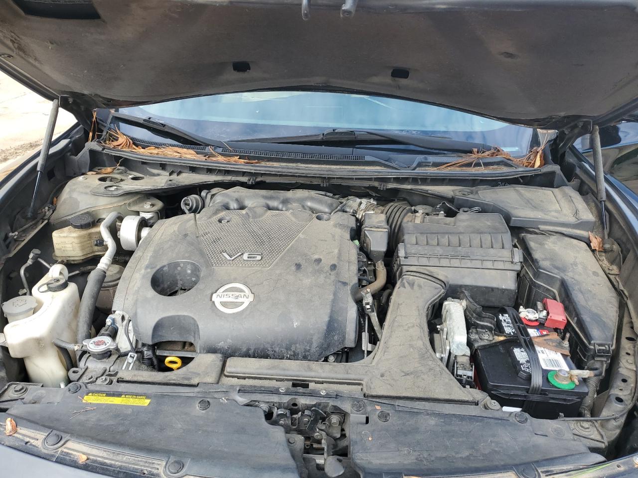 2010 Nissan Maxima S VIN: 1N4AA5AP3AC818662 Lot: 84483355