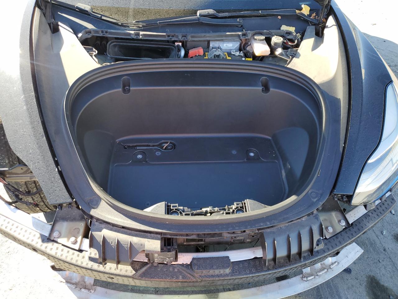 2020 Tesla Model 3 VIN: 5YJ3E1EC7LF742411 Lot: 90286495