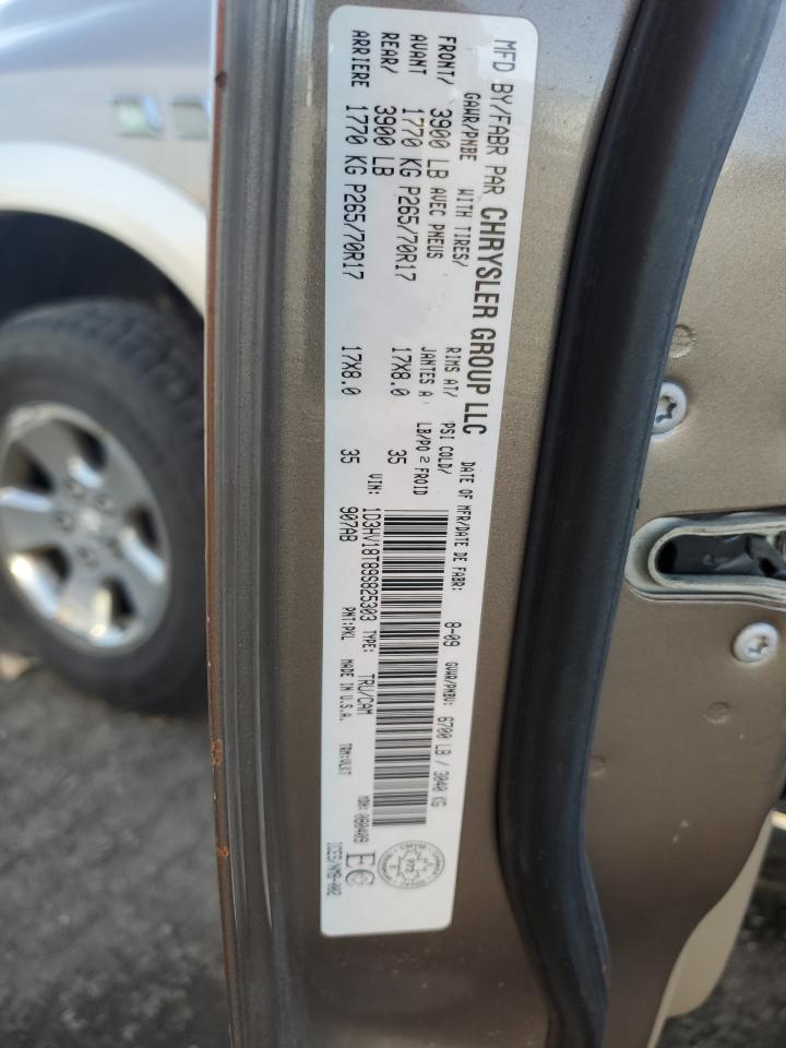 2009 Dodge Ram 1500 VIN: 1D3HV18T89S825303 Lot: 85885925