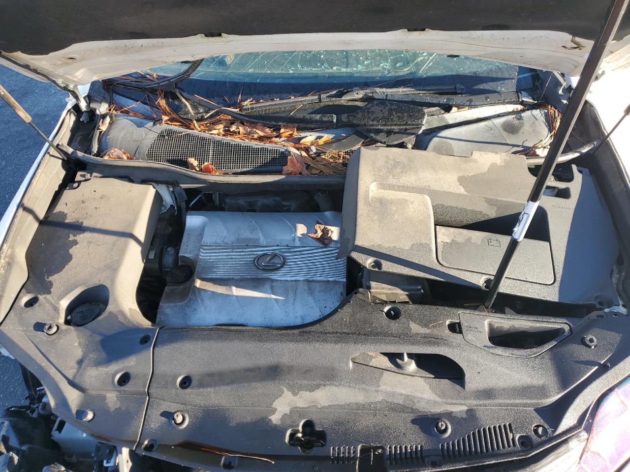 2010 Lexus Rx 350 VIN: 2T2BK1BA4AC037151 Lot: 84175675