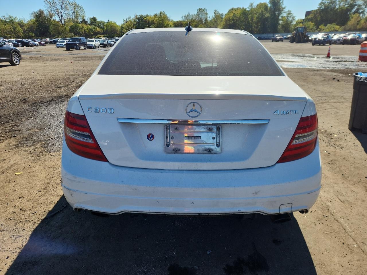 2014 Mercedes-Benz C 300 4Matic VIN: WDDGF8AB3ER315556 Lot: 82346915
