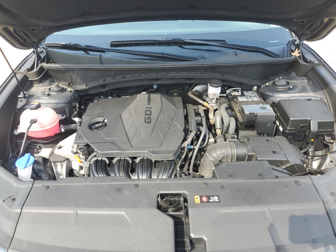 2024 Hyundai Tucson VIN: 5NMJE3DE2RH348988 Lot: 81849955