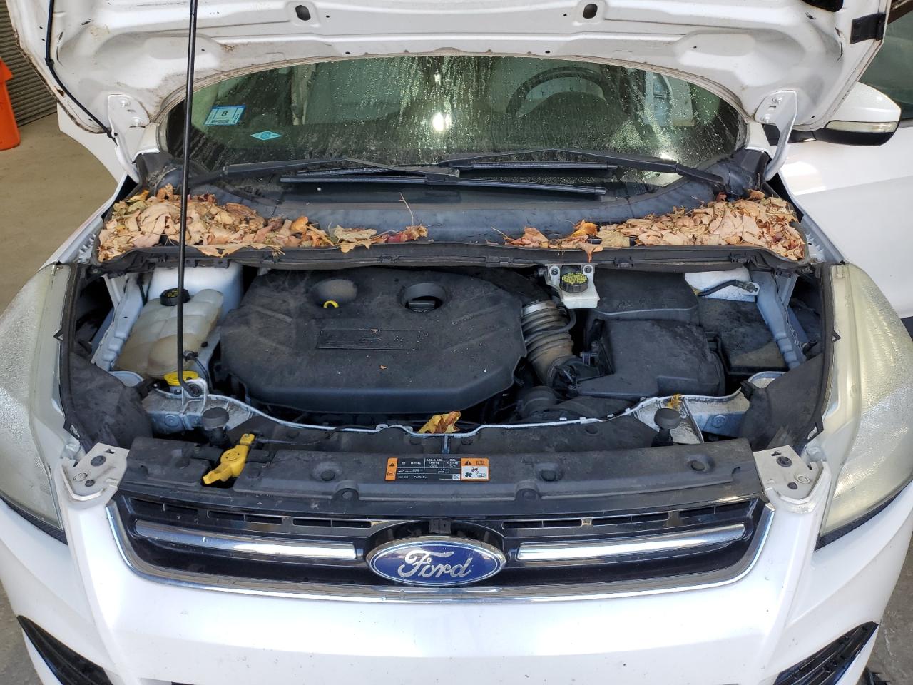 2016 Ford Escape Titanium VIN: 1FMCU9J92GUB44876 Lot: 81841835