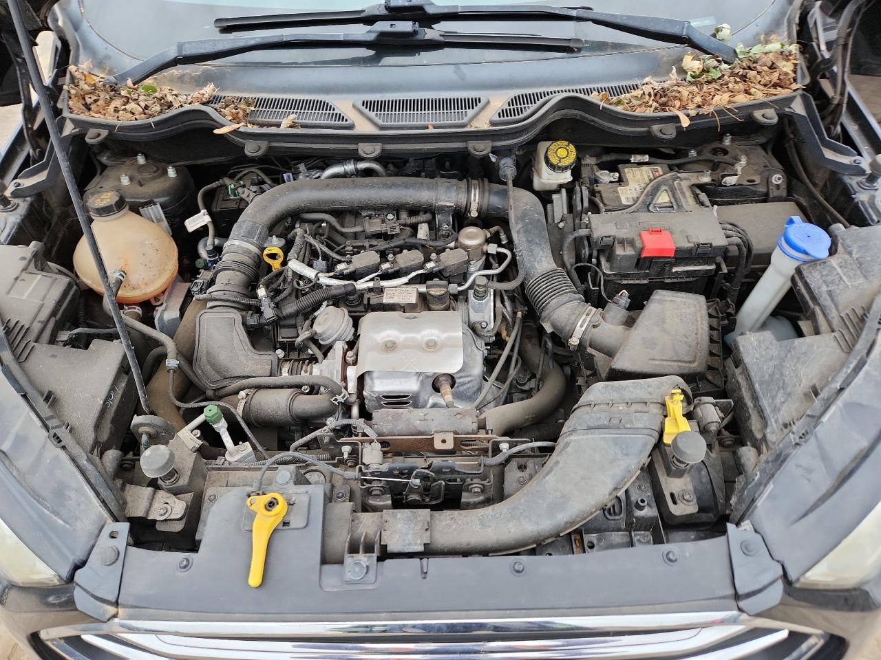 2019 Ford Ecosport Titanium VIN: MAJ3S2KEXKC260876 Lot: 90090165