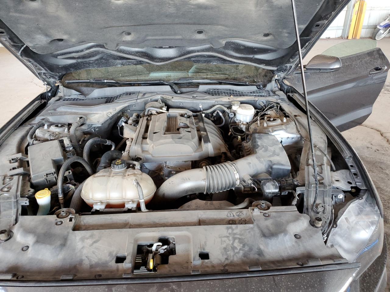 2019 Ford Mustang VIN: 1FA6P8TH9K5189796 Lot: 89919255