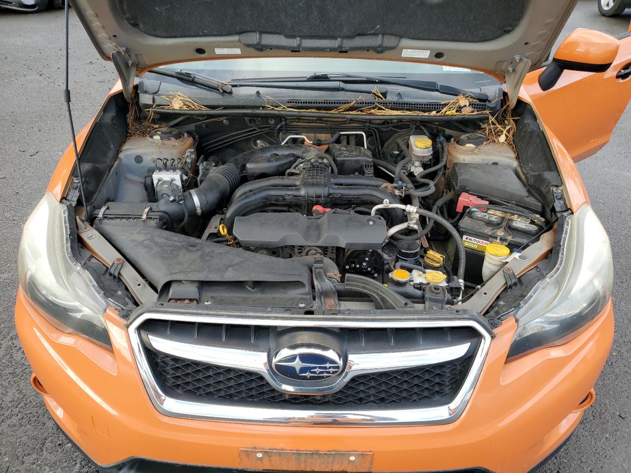 2014 Subaru Xv Crosstrek 2.0 Limited VIN: JF2GPAGC4E8317273 Lot: 84975615