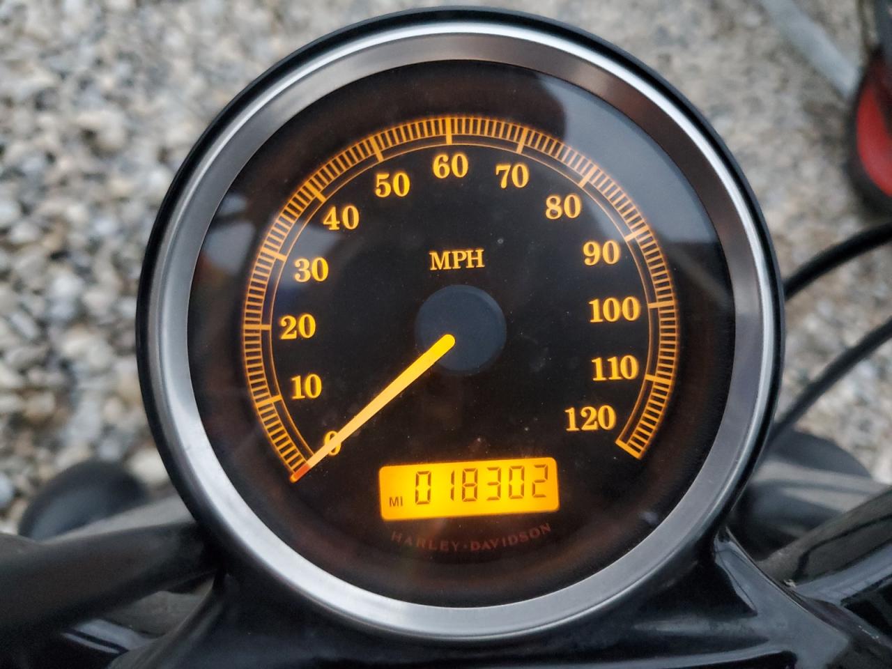 2013 Harley-Davidson Xl1200 Forty-Eight VIN: 1HD1LC316DC448568 Lot: 82505115