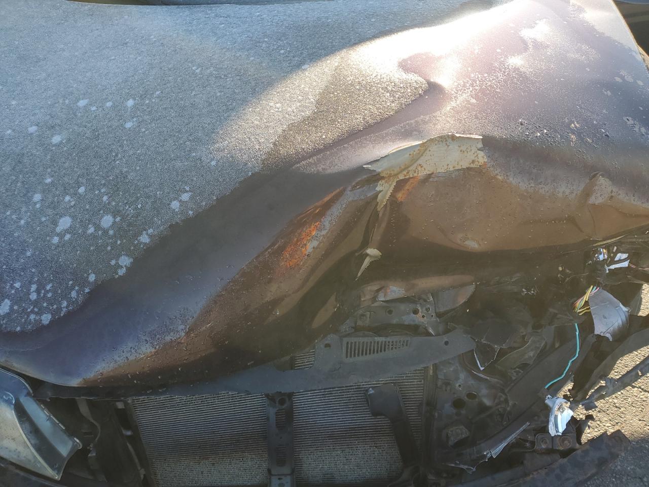 2010 Kia Forte Ex VIN: KNAFU4A24A5203920 Lot: 90009755