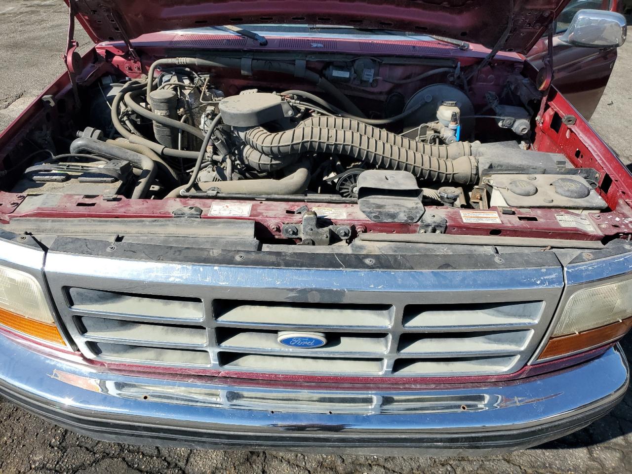 1995 Ford F150 VIN: 1FTEX14H6SKA50724 Lot: 86548385