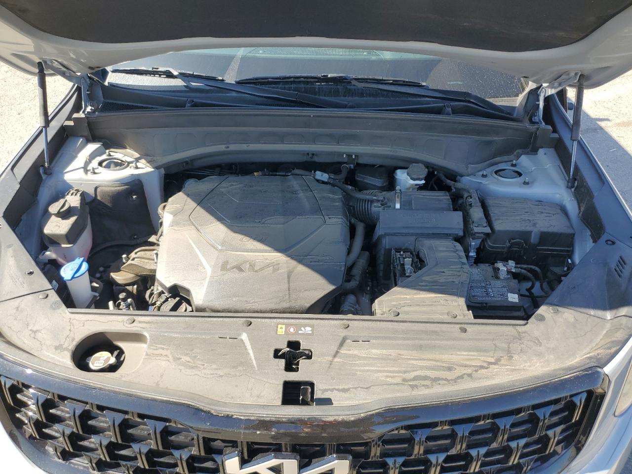 2024 Kia Telluride Ex VIN: 5XYP3DGCXRG441882 Lot: 85007275