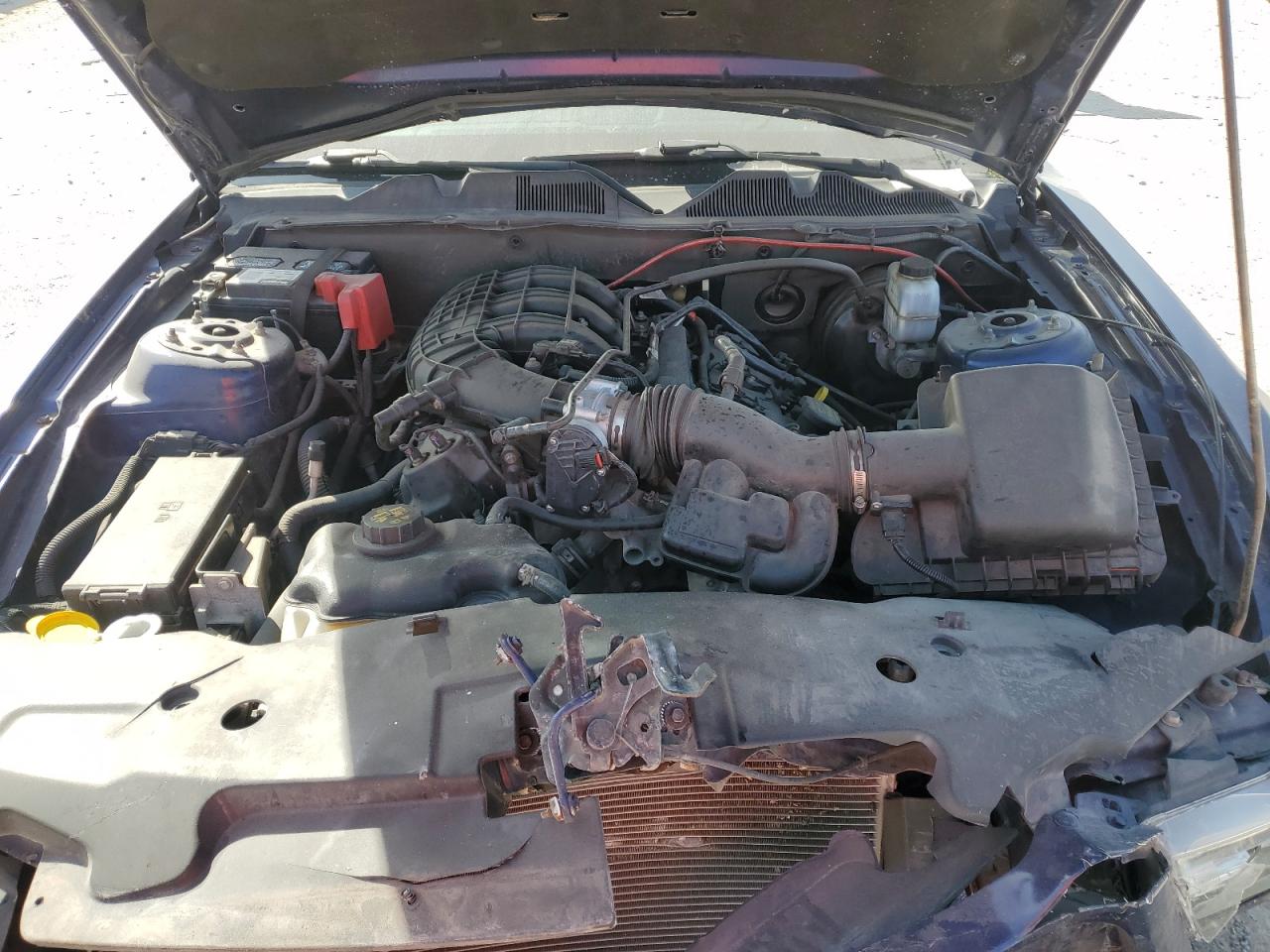 2012 Ford Mustang VIN: 1ZVBP8AM0C5261461 Lot: 84466305