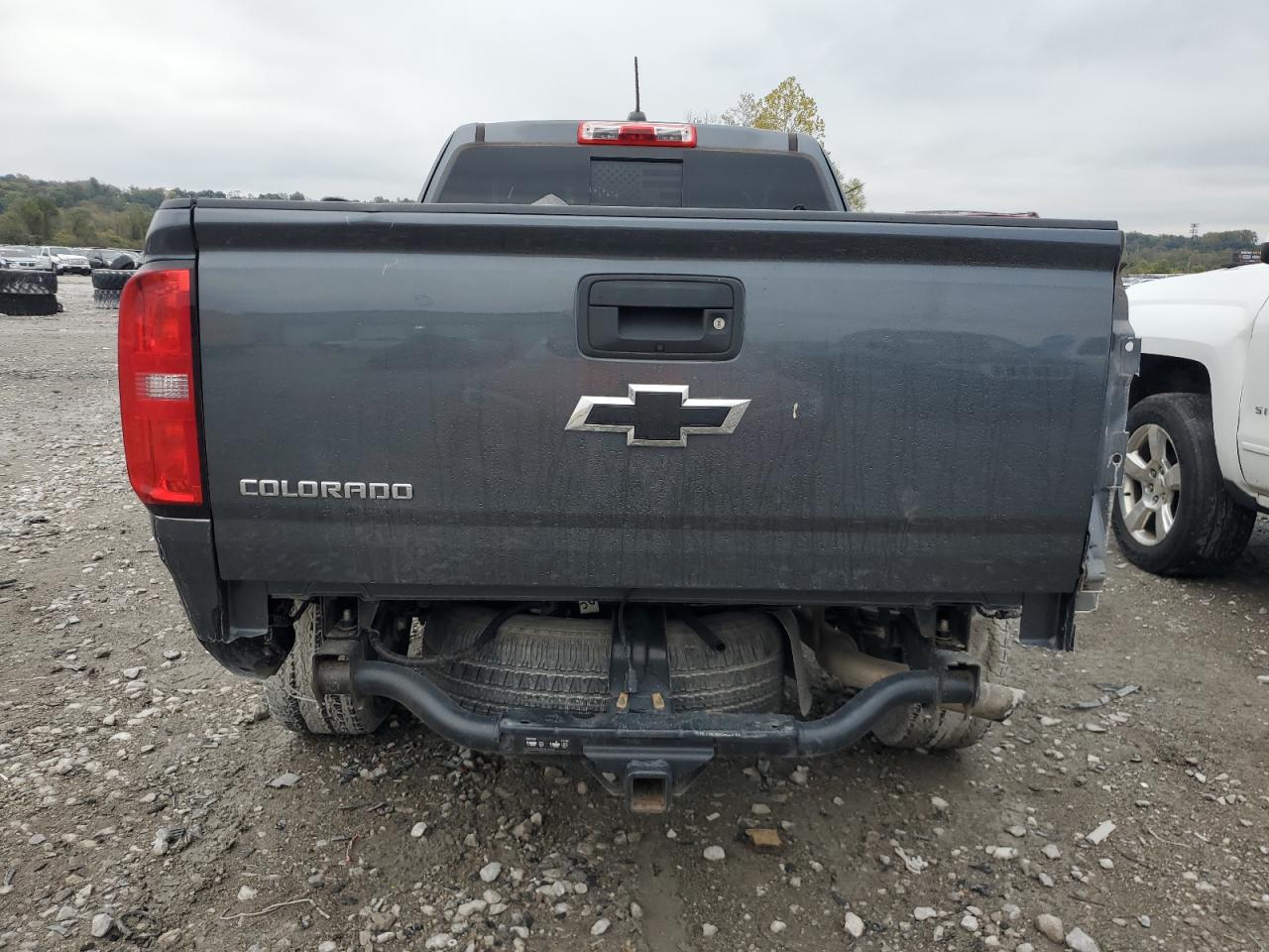 2016 Chevrolet Colorado Z71 VIN: 1GCHSDE35G1246019 Lot: 89506755