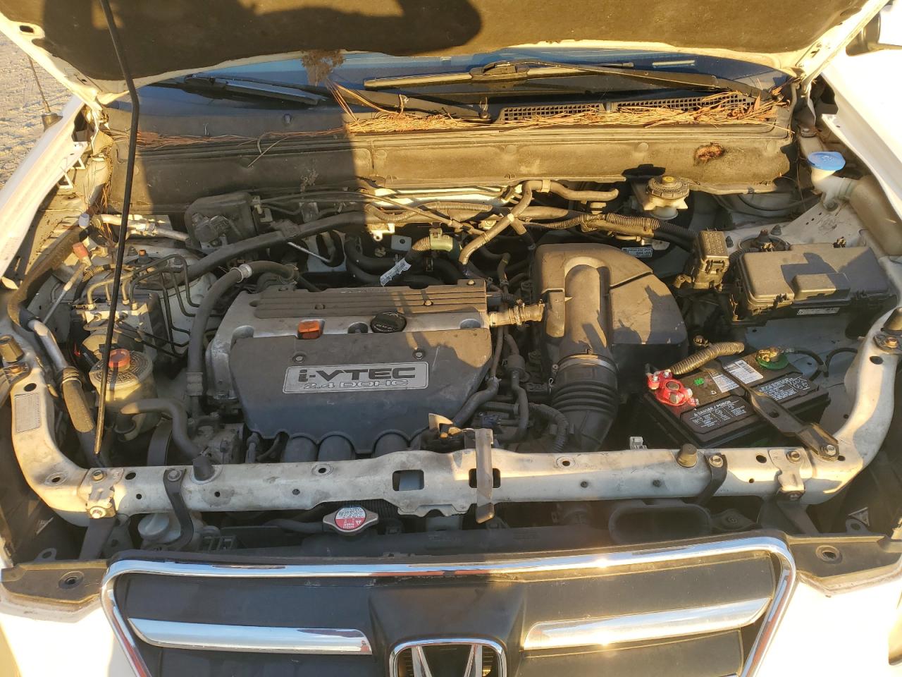 2006 Honda Cr-V Se VIN: SHSRD78996U417899 Lot: 85112095