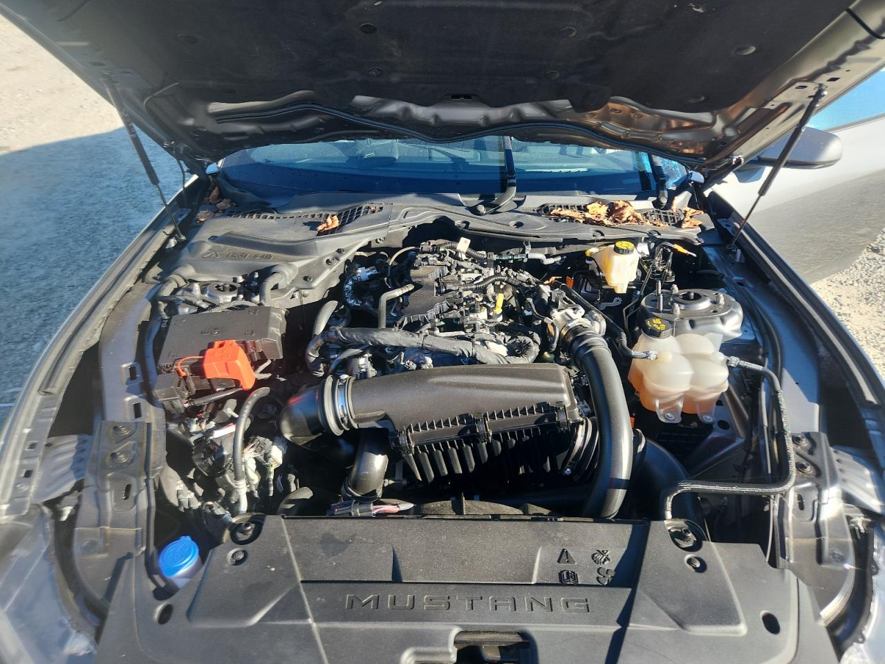 2024 Ford Mustang VIN: 1FA6P8TH7R5125184 Lot: 86242915