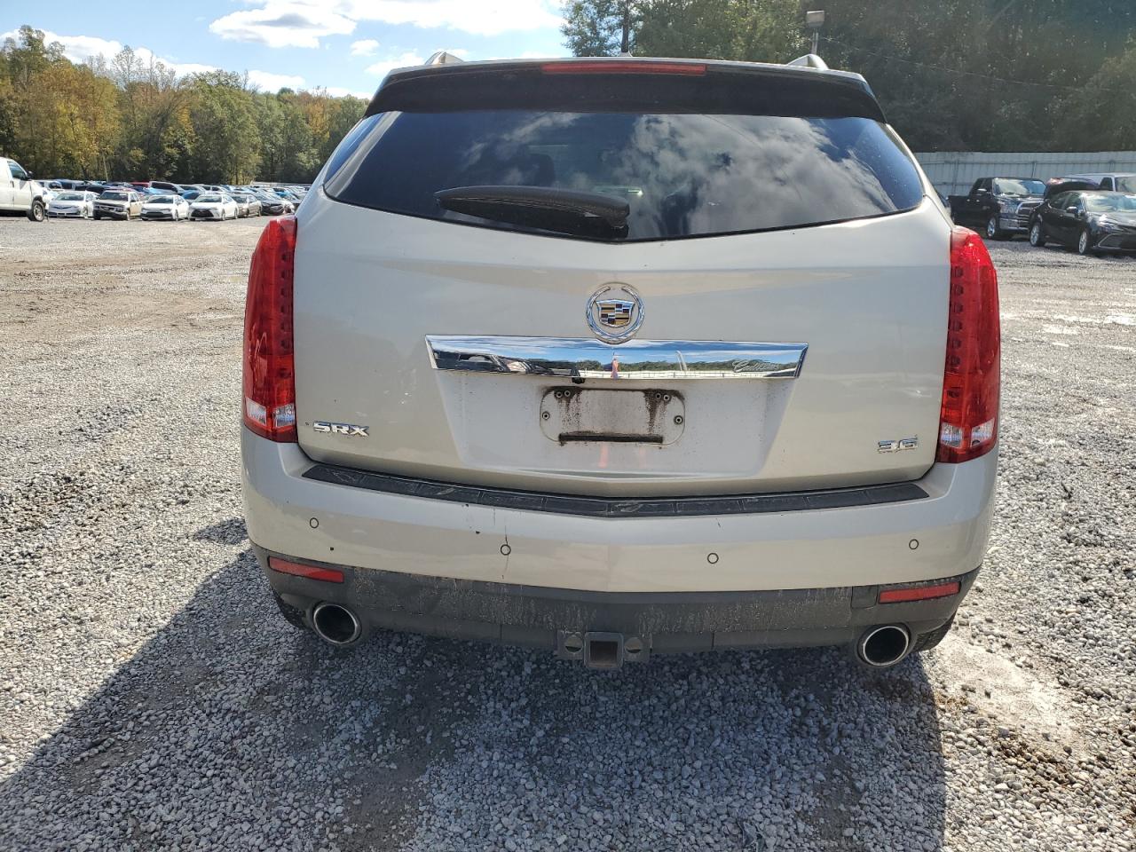 2013 Cadillac Srx Luxury Collection VIN: 3GYFNCE34DS539620 Lot: 90672845