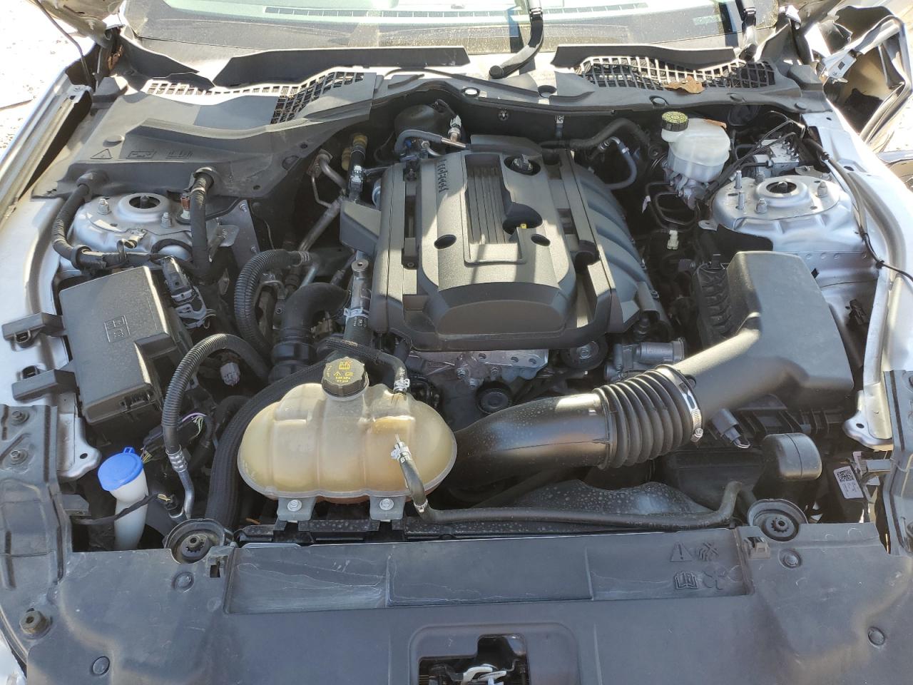 2020 Ford Mustang VIN: 1FA6P8TH8L5119143 Lot: 85355675