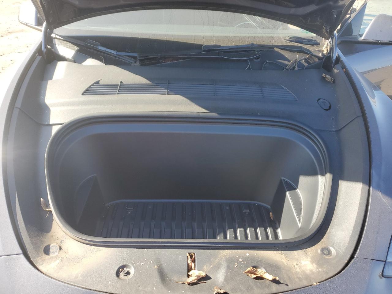 2023 Tesla Model Y VIN: 7SAYGDEF4PF894702 Lot: 84805945