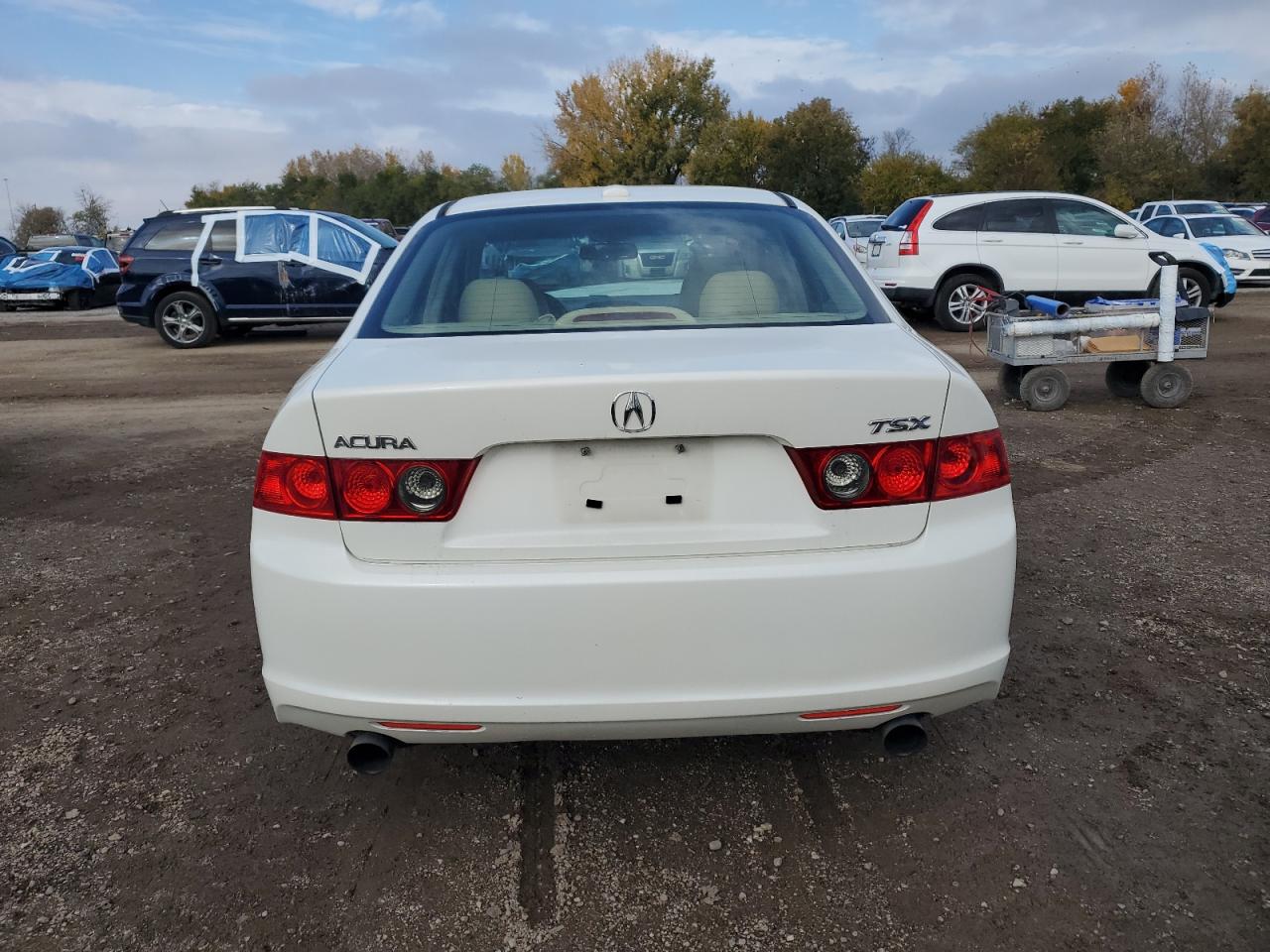 2008 Acura Tsx VIN: JH4CL96878C001306 Lot: 90899845