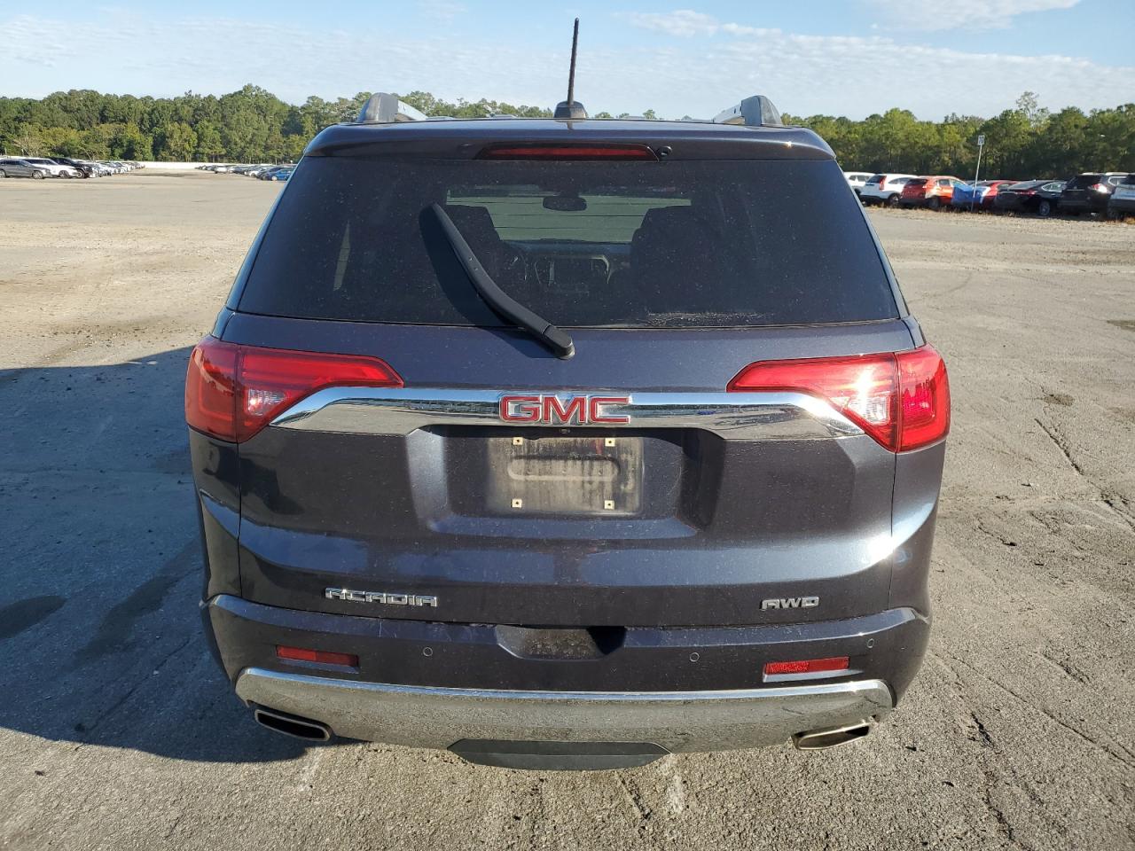 2019 GMC Acadia Denali VIN: 1GKKNXLS0KZ183029 Lot: 81993205