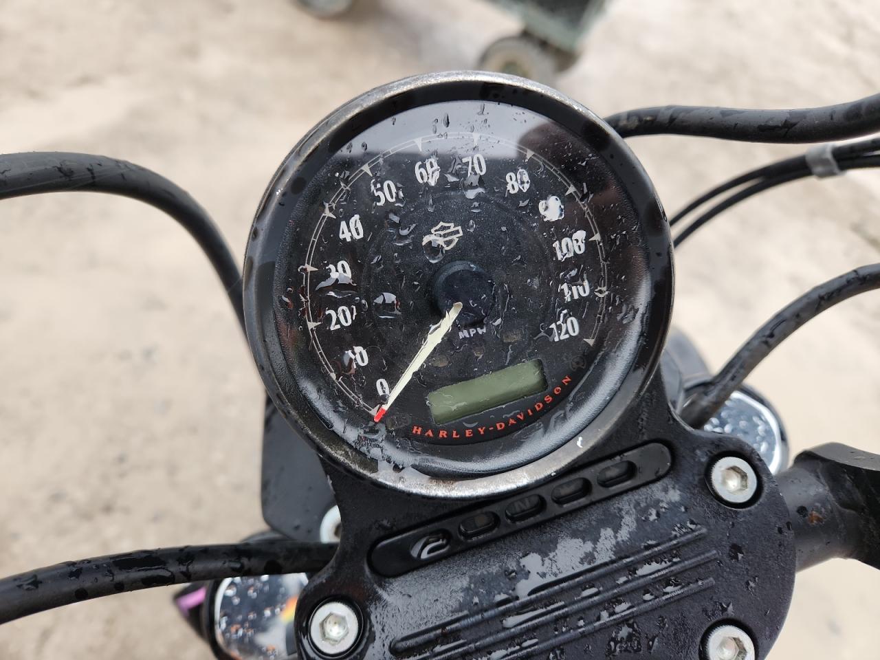 2017 Harley-Davidson Xl883 Iron 883 VIN: 1HD4LE211HC401528 Lot: 89736815