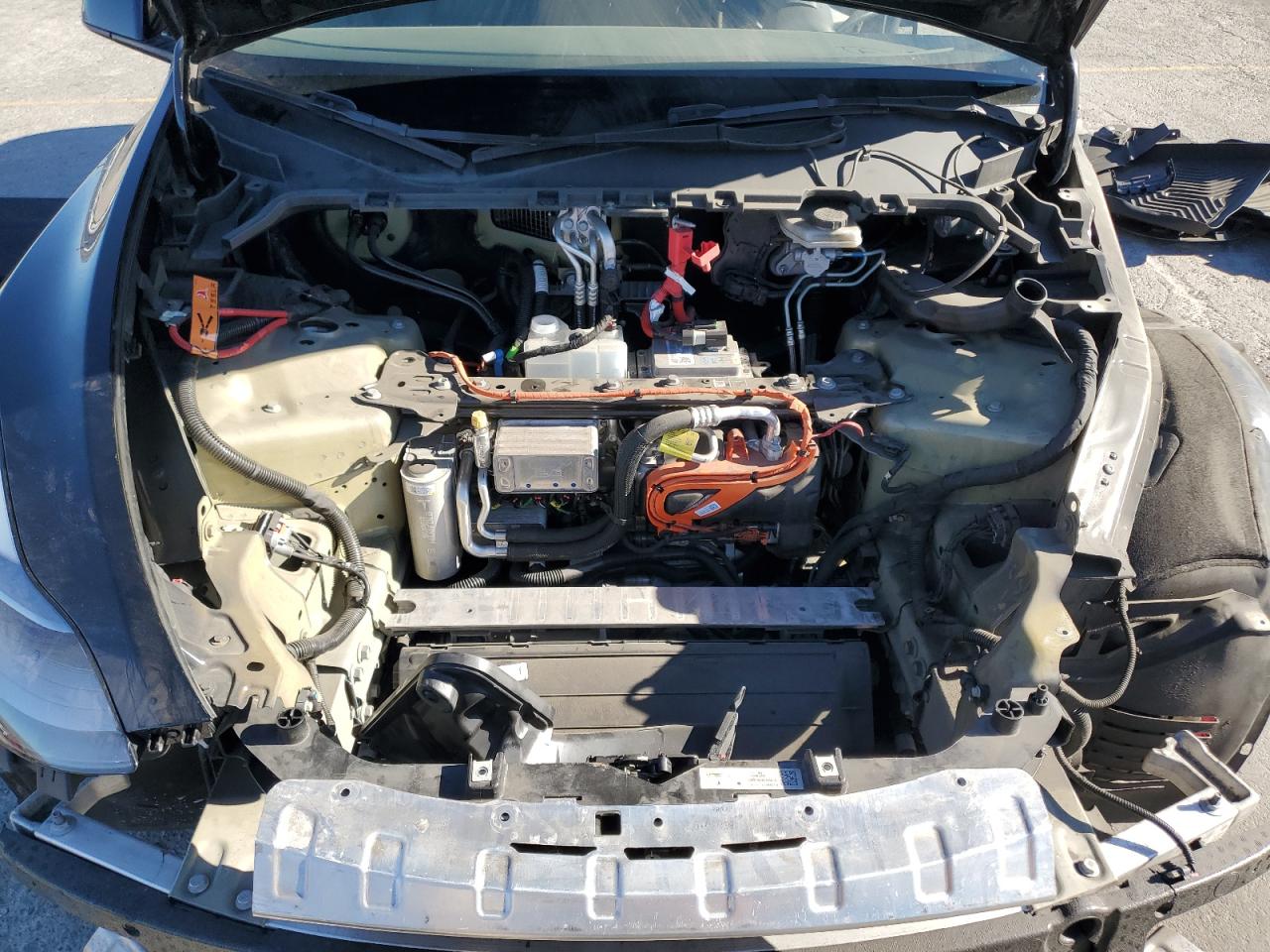 2024 Tesla Model Y VIN: 7SAYGDEEXRF070889 Lot: 90647155