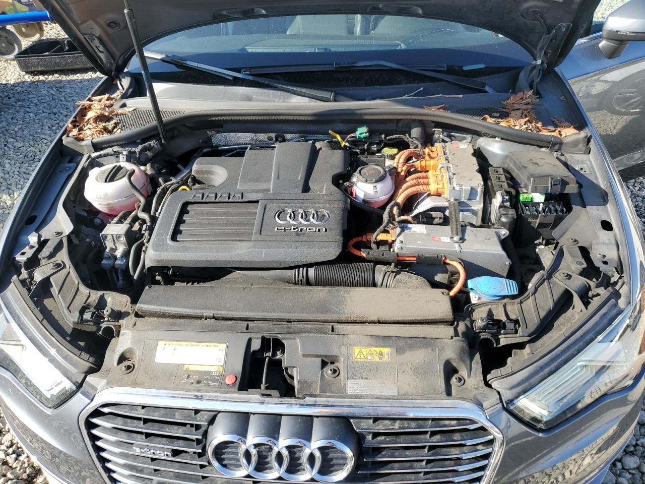 Фото: WAUTPBFF4GA038087