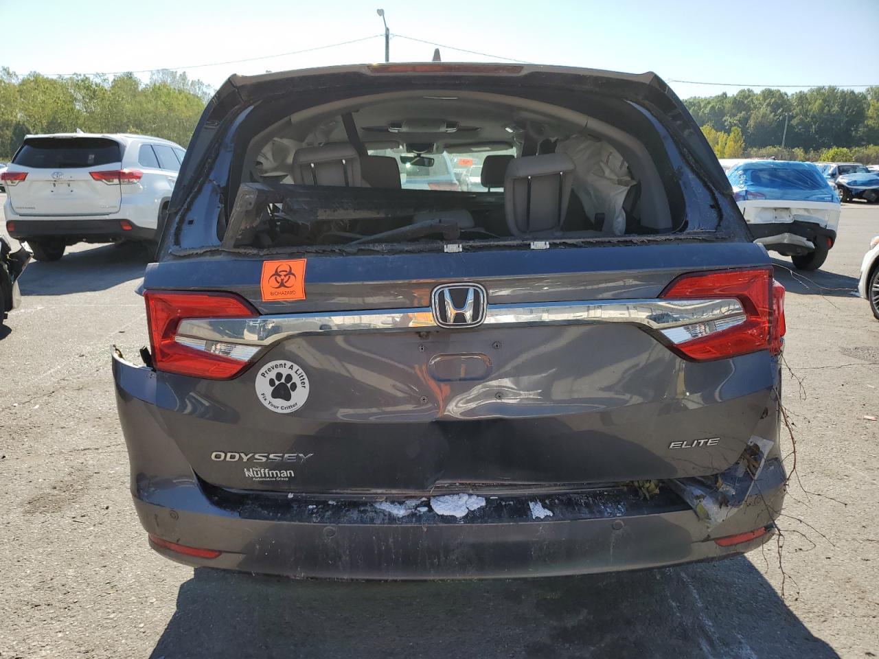 2018 Honda Odyssey Elite VIN: 5FNRL6H91JB058531 Lot: 84363245