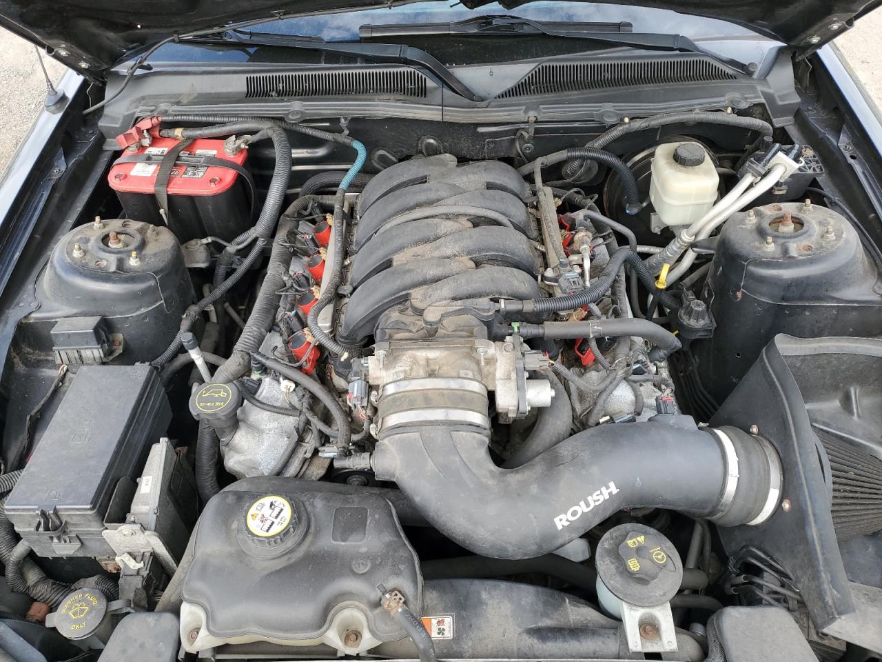 2008 Ford Mustang Gt VIN: 1ZVHT82H785159914 Lot: 82311775