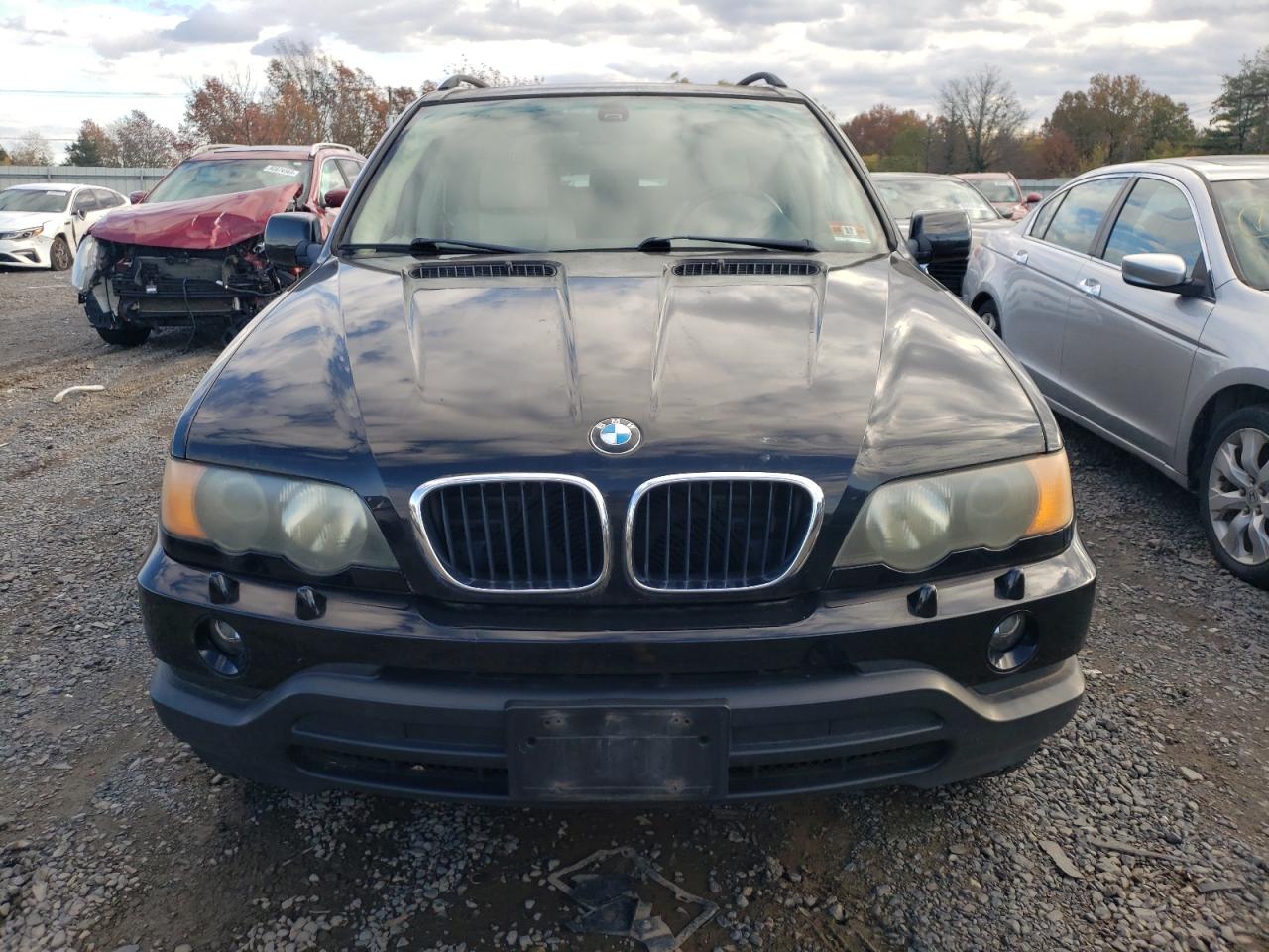 Фото: 5UXFA53523LP27945