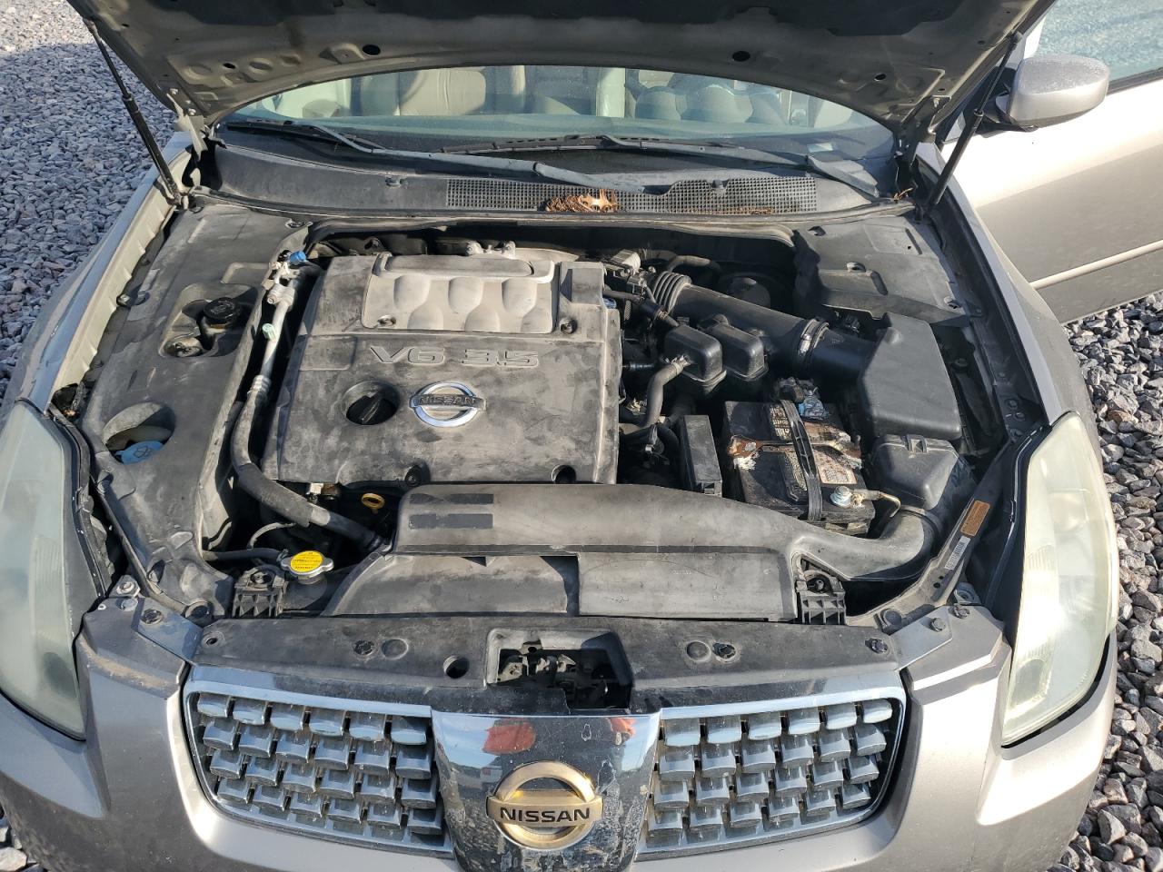 2004 Nissan Maxima Se VIN: 1N4BA41E54C857304 Lot: 81972485