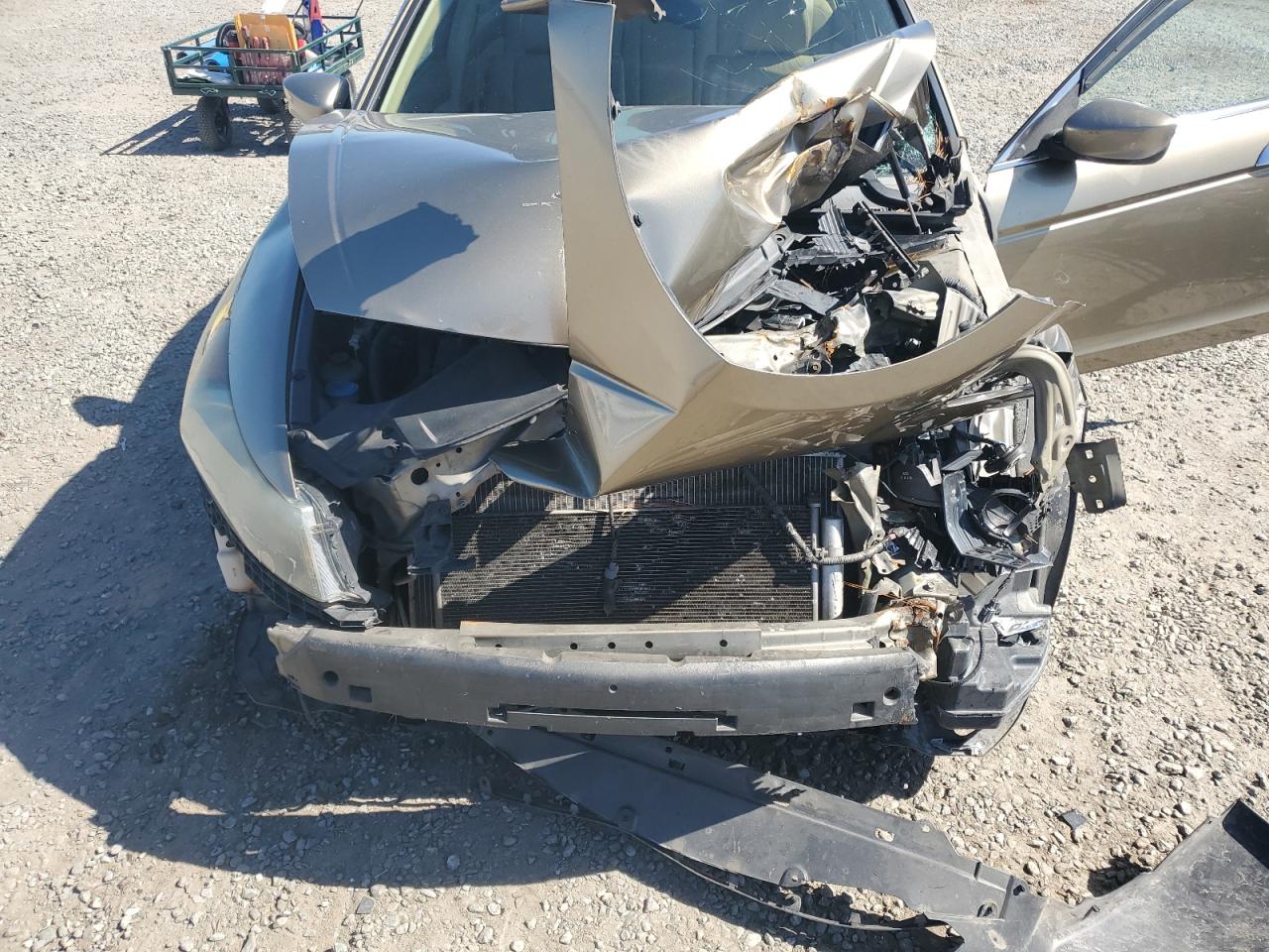 2009 Honda Accord Exl VIN: 1HGCP368X9A027786 Lot: 81861365
