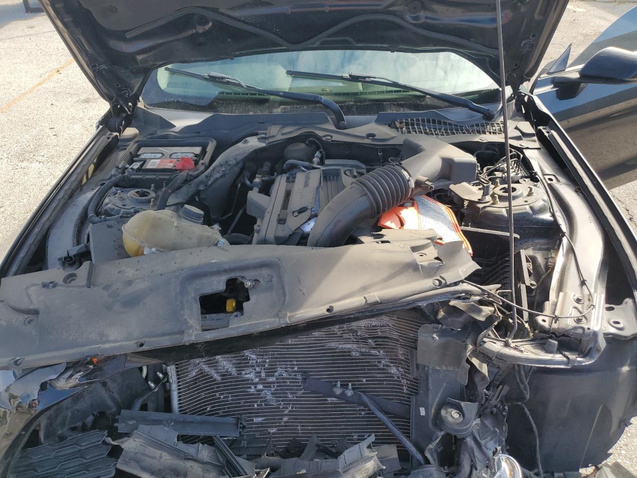 2015 Ford Mustang VIN: 1FA6P8TH7F5363127 Lot: 86621705