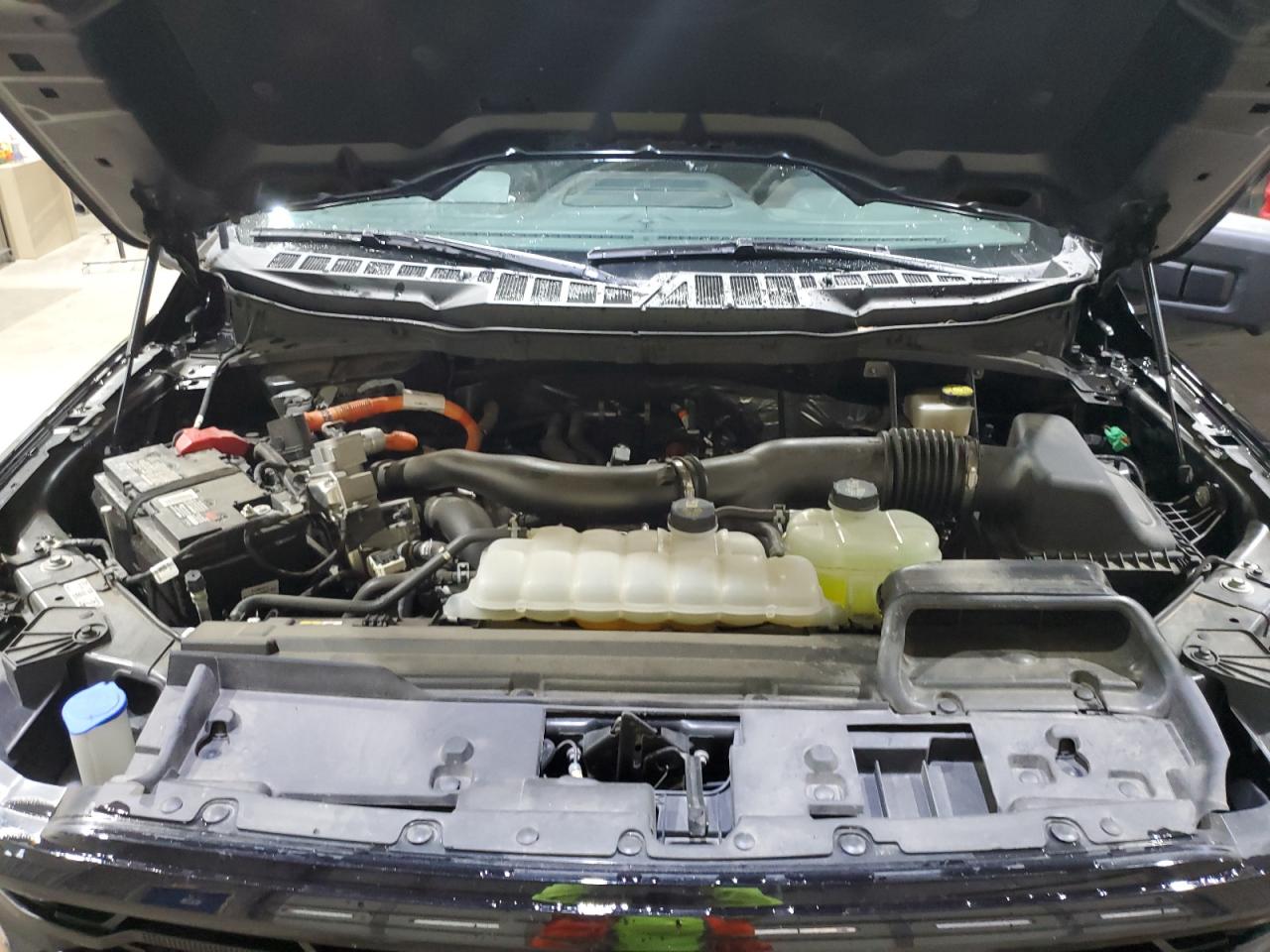 2024 Ford F150 Xlt VIN: 1FTFW3LD8RFB51624 Lot: 85374935