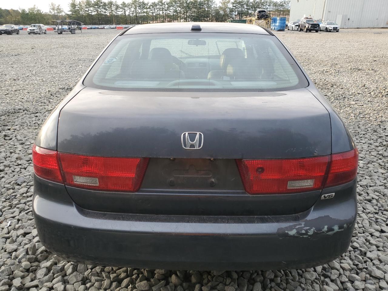 2005 Honda Accord Ex VIN: 1HGCM66535A051955 Lot: 85476745