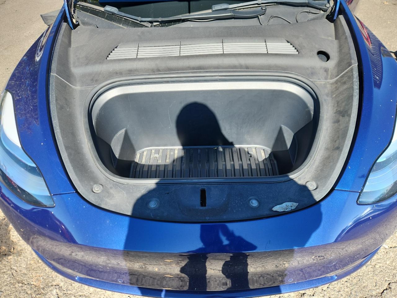 2022 Tesla Model Y VIN: 7SAYGDEE2NF496232 Lot: 82440705