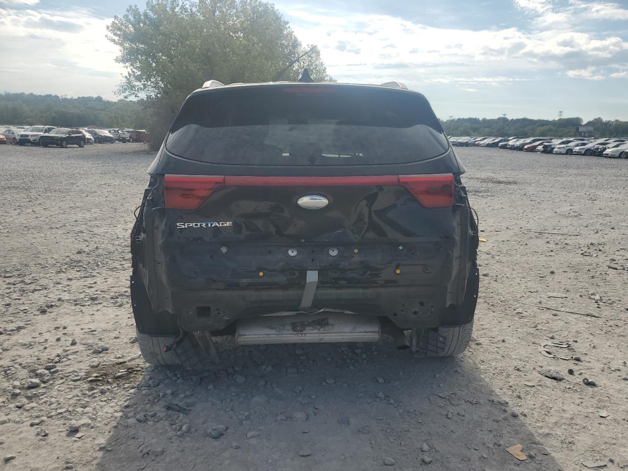 2019 Kia Sportage Lx VIN: KNDPMCAC1K7549990 Lot: 85092425