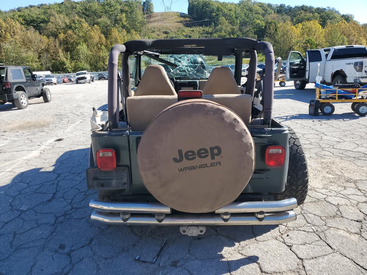 2002 Jeep Wrangler / Tj X VIN: 1J4FA39S12P776350 Lot: 82276415