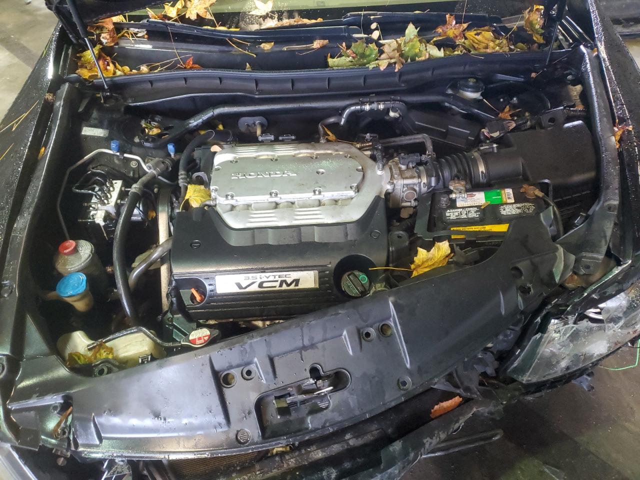 2010 Honda Accord Exl VIN: 1HGCP3F84AA017095 Lot: 90612355