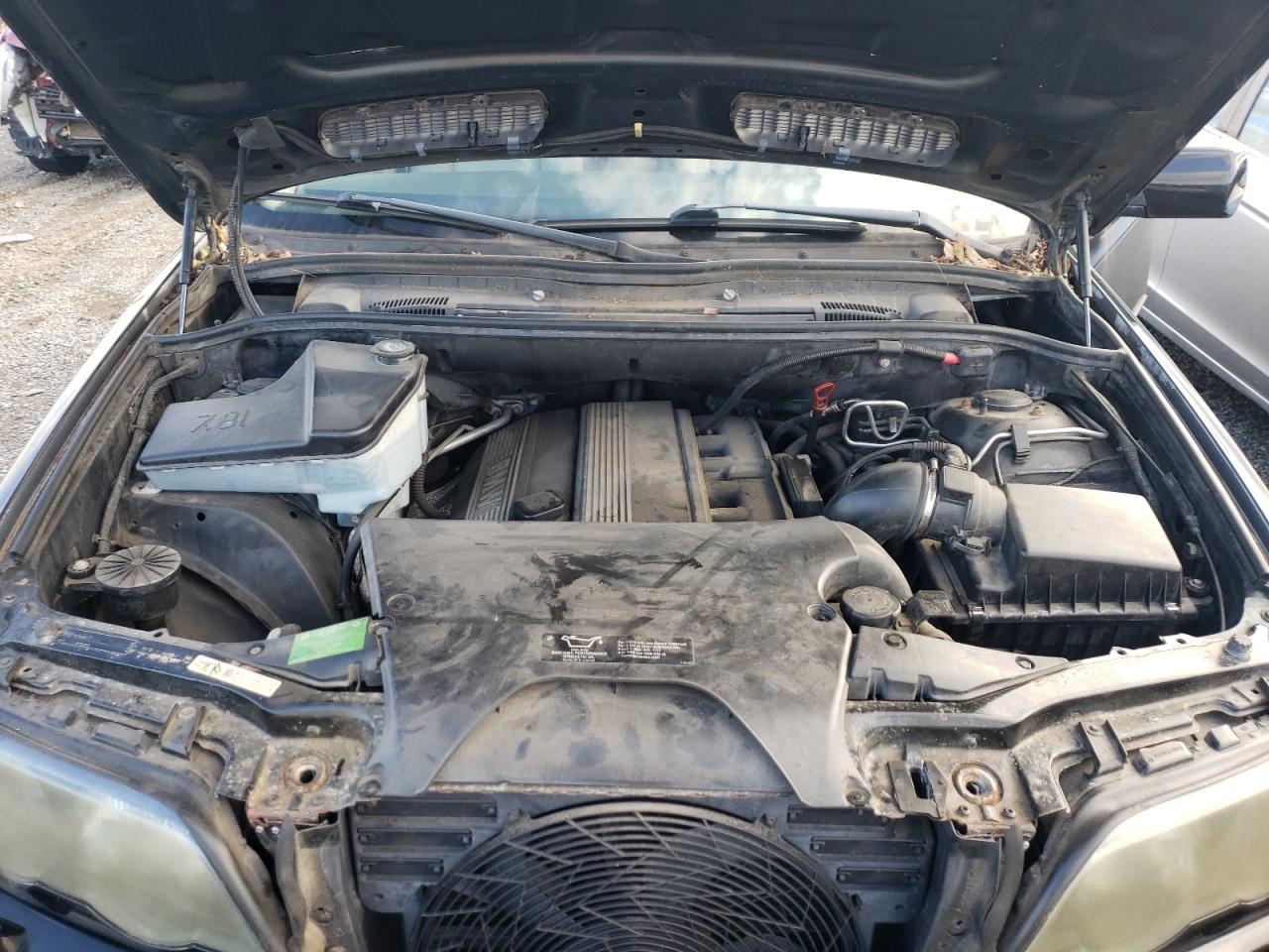 Фото: 5UXFA53523LP27945