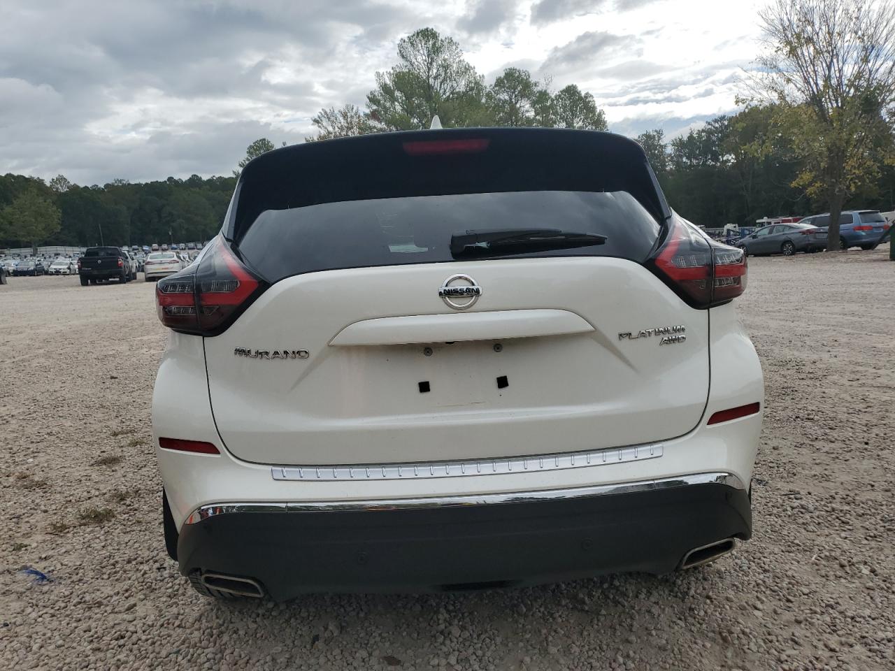2020 Nissan Murano Platinum VIN: 5N1AZ2DS1LN133287 Lot: 82282515