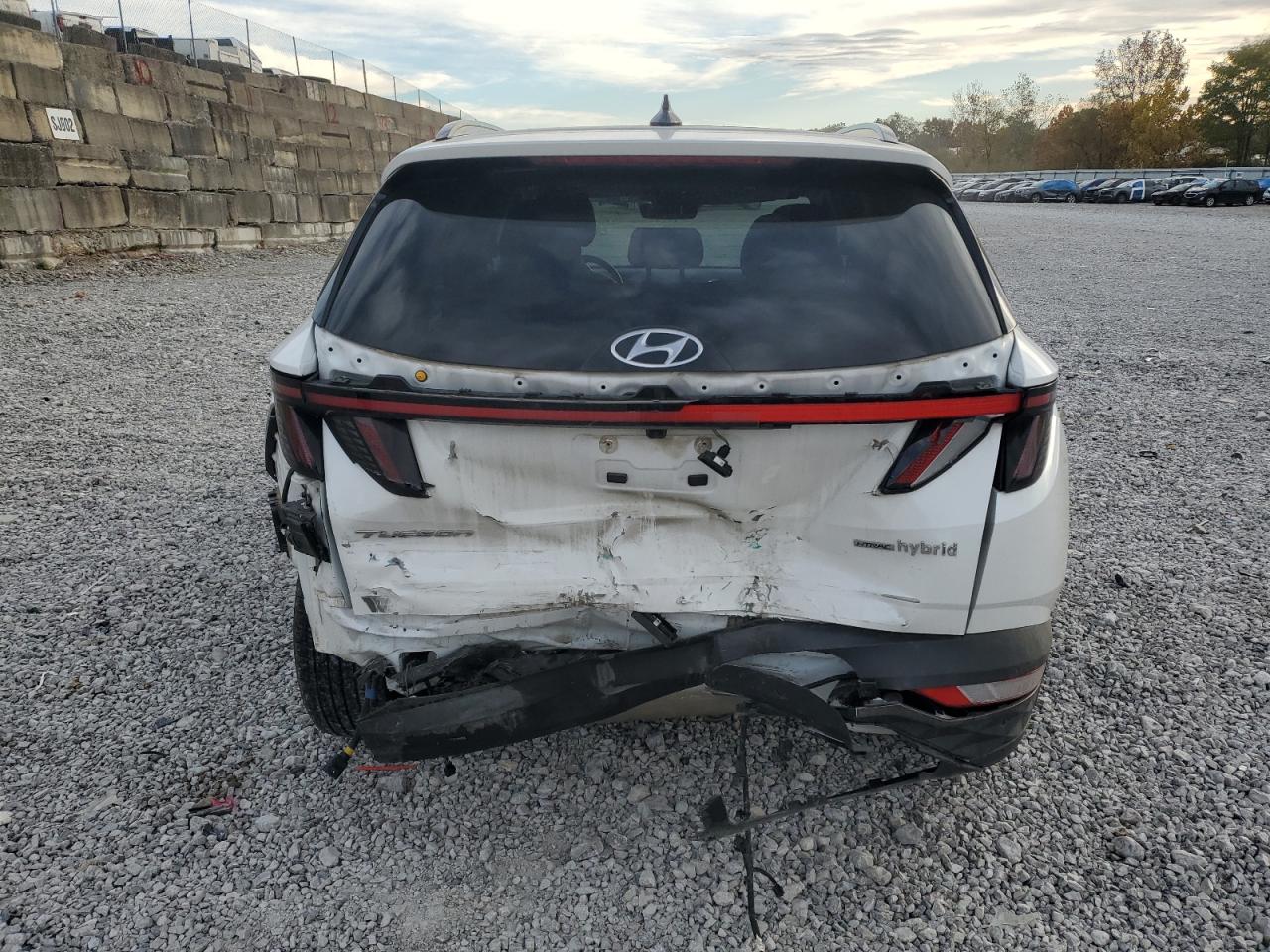 2022 Hyundai Tucson Limited VIN: KM8JECA12NU026089 Lot: 90056275